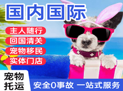 伊春林都航空邮寄国际宠物托运 【国